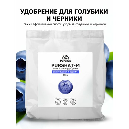 ������ ������ ��������� ��� �������� � ������� ������ (Purshat) 100 �� ����