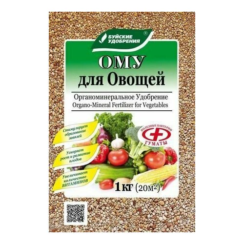 ������ ������ ��� 