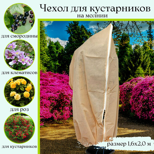 ������ ������ ����� ��� ������� ���� ����, ��� ����������� � ���, �� ������, �������, 1.6x2� ����