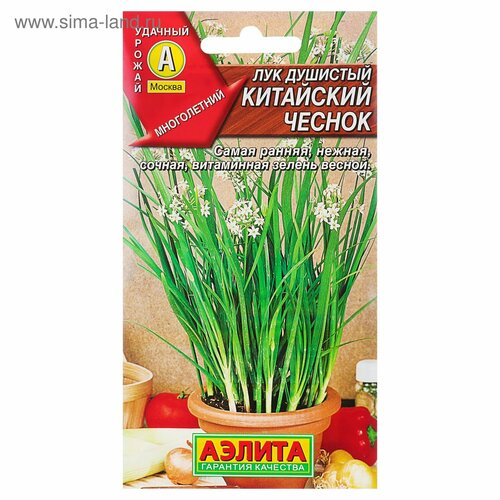 ������ ������ ������ ��� �������� 