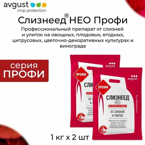 ������ ������ �������� ������������� AVGUST 