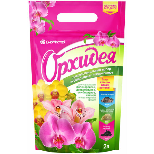 ������ ������ ��������� �������� ������� ����� ����������� 2 � ����