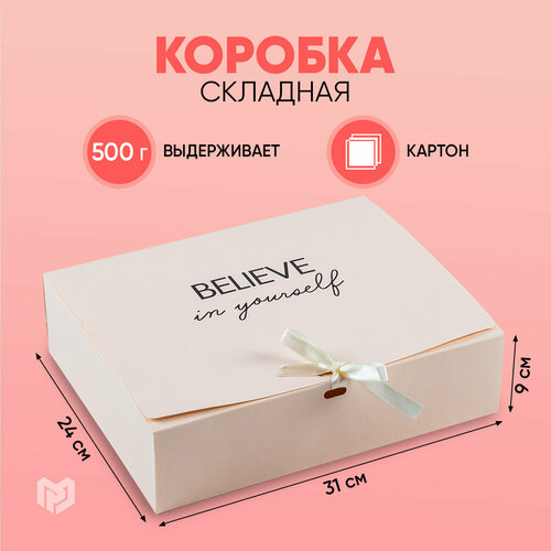 ������ ������ ������� ���������� ������������, 31 ? 24,5 ? 9 �� ����