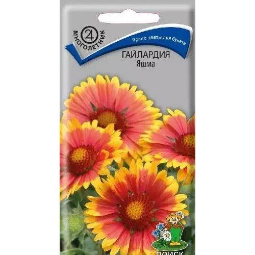 ������ ������ ��������� ����, ������ ����� 0,15� ����