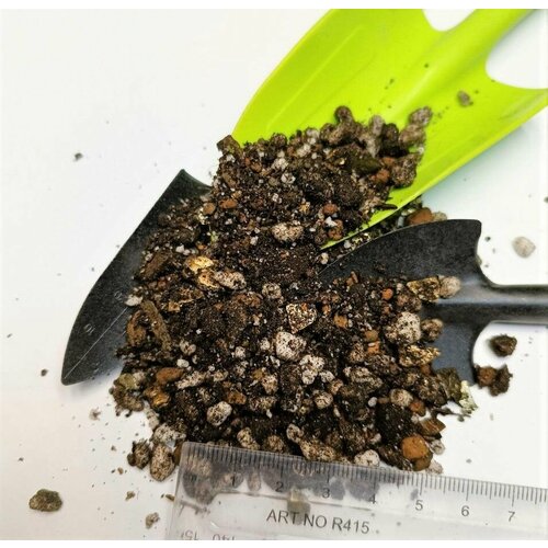 ������ ������ �������� 