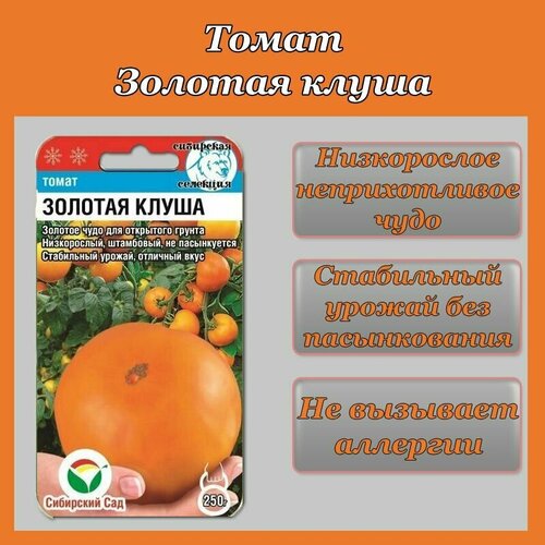 ������ ������ ����� ������� ����� (1 �������� -20�� �����) ����