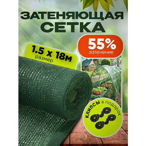 ������ ������ ����� ���������� �������, ��������� 55%, ������ 1,5�18� ����