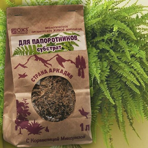 ������ ������ �����/�������� � ���������� ��������� ��� ����������� ���� ����� ������������ ������ ������� , 1� ����