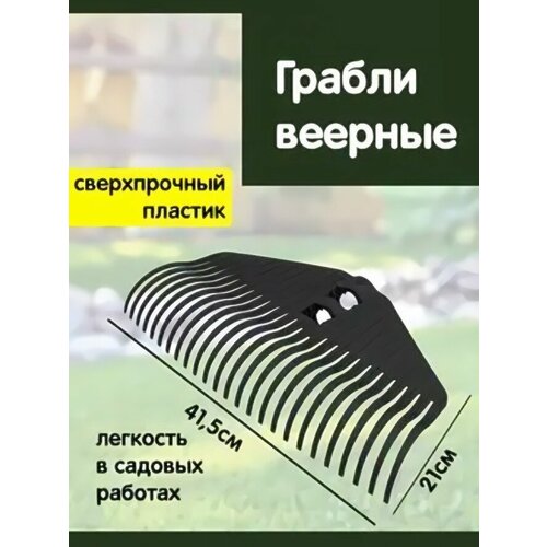 ������ ������ ������ ������� 25 ������ ��� ������� �������� ������� ������ ����