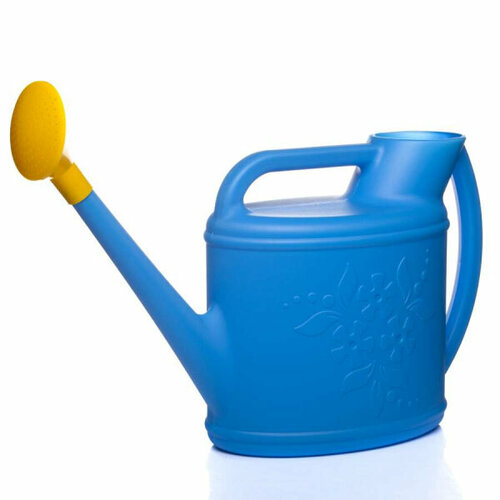 ������ ������ ����� �������� 12 � (���� � ������������) ����