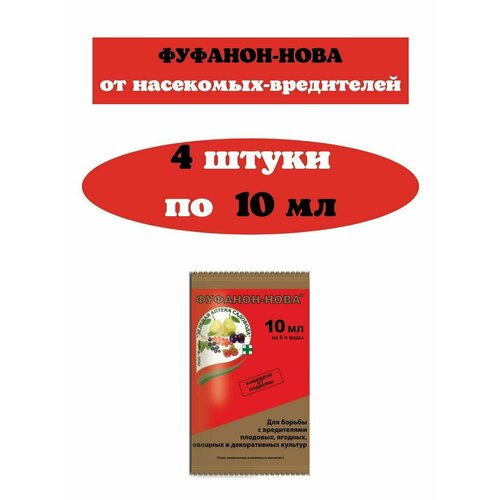 ������ ������ �������� �������-���� �� ���������-���������� 4 ����� �� 10 ��, ������ ����