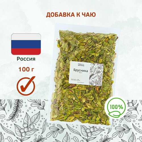 ������ ������ ���� �������� ����