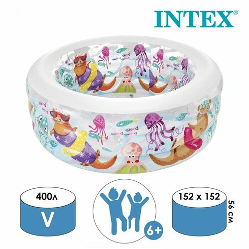   Intex , 15256  (58480)   -     , -,   