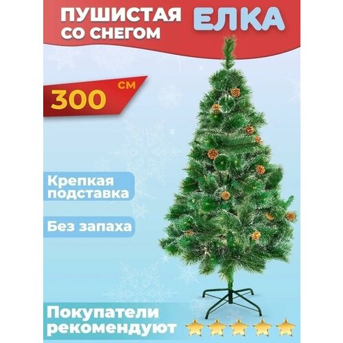 ������ ������ ���� ������������� � ������� � �����, 300 �� ����