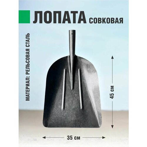 ������ ������ ������ ������� �������� (���) ��������� ����� ����