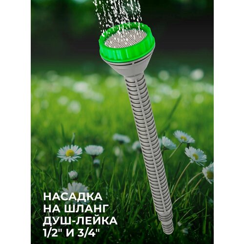 ������ ������ ������� �� ����� ���-����� 1/2