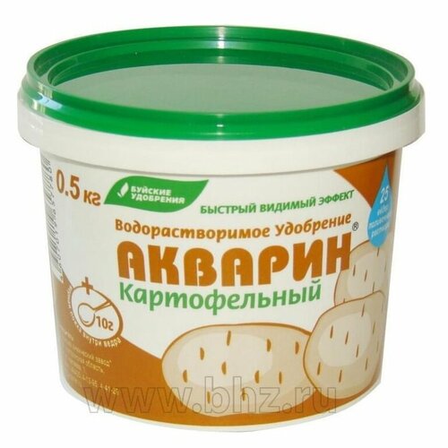 ������ ������ ���������� ���������� ������� ����