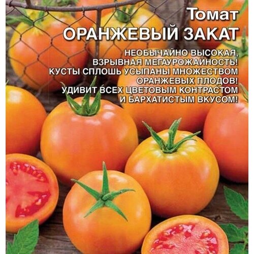 ������ ������ ������ ����� ��������� ����� (��) �/� �/� ����