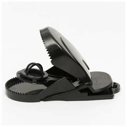 ������ ������ ��������� (�������������), �� ����