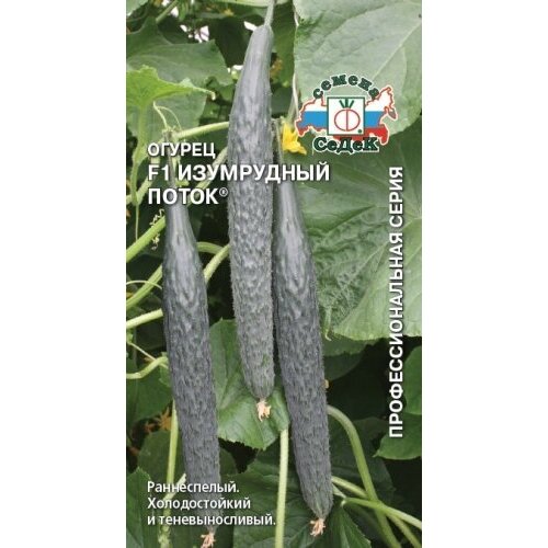 ������ ������ ������ ���������� ����� F1 0,2��. (�����) ����