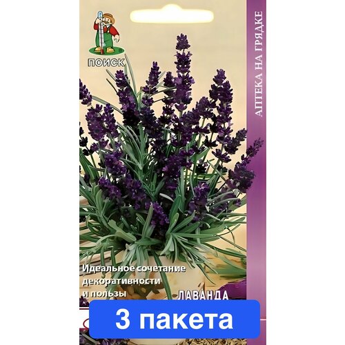 ������ ������ ������ ������ � ��������� ����� 