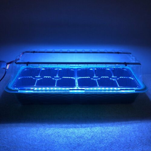 ������ ������ ������ ��� ������ � ������� � ���������� �������� �� �� 12 ������� ����� ����