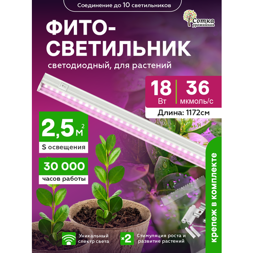 ������ ������ ��������� ��� �������� ��������������� 18 ��, ������ ��� ����������� 1172 �� � ������������, ������� ���� ����