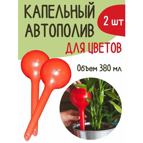 ������ ������ ����������� ��� ��������� ��� ������ ����� 2 ����� ����