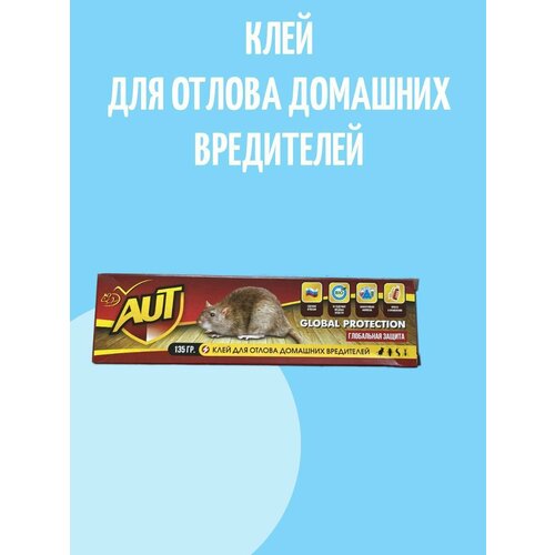 ������ ������ ���� AUT ��� ������ �������� ���������� ����