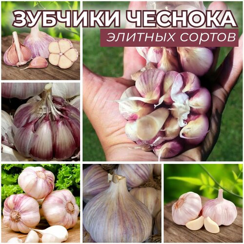 ������ ������ ������� �������� ����������� ������� �� ������� 30�� � ������������ ����