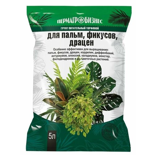 ������ ������ ����� �������� ��� �����, �������, ������� � ������ 5 ������ ����