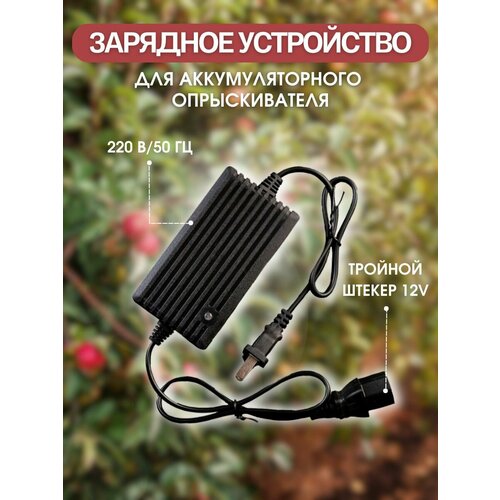 ������ ������ �������� ���������� ��� ������������� �������������� ����