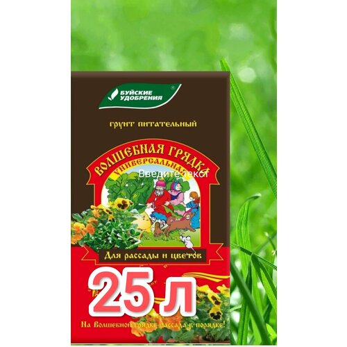 ������ ������ ����� ������� ���������� ����� ��������� ������ ������������� ��� ������� � ������ 25 � ����