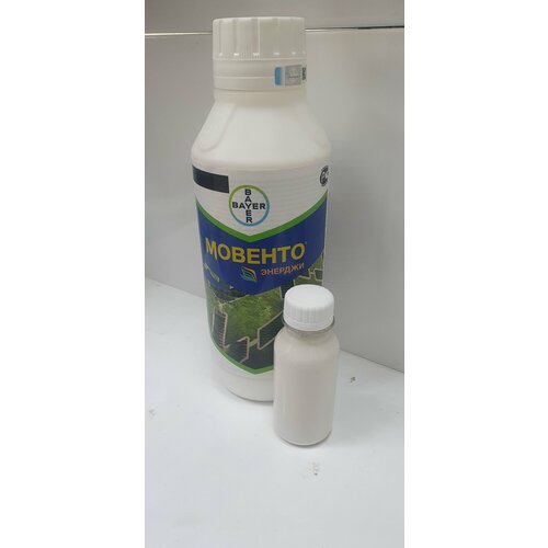 ������ ������ ������� ������� 100��(������ �������) ����