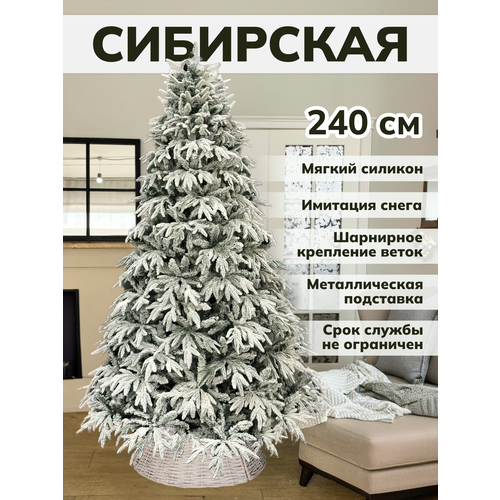 ������ ������ ���� ������������� ����� �� ������ ������ ������� ����