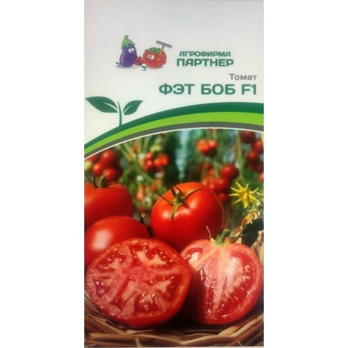 ������ ������ ������ ������ 