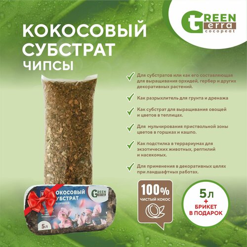     5  ( 500 ) Green Terra    -     , -,   