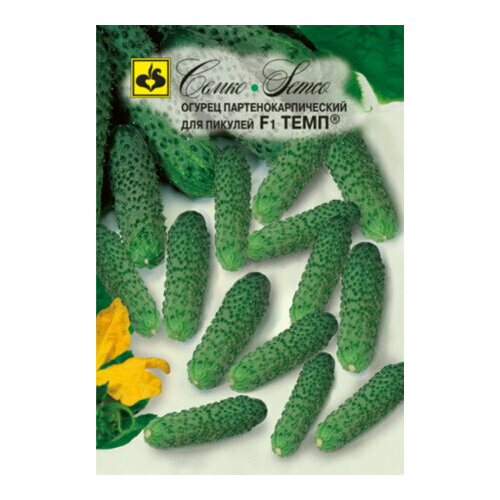 ������ ������ ������ ������ ���� F1 10�� ������������������ ������ (�����) ����