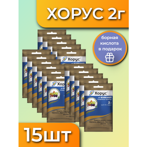 ������ ������ 