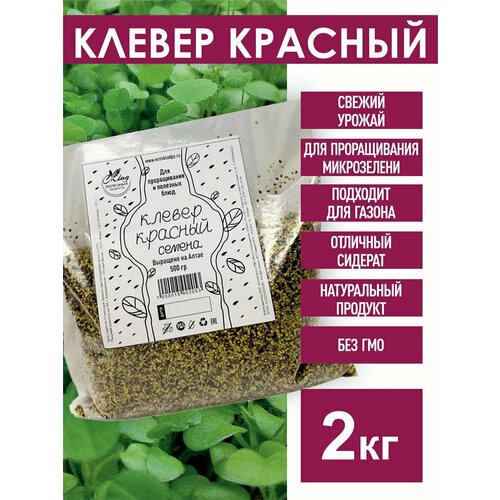 ������ ������ ������ ������� ������ 2 ��. ����