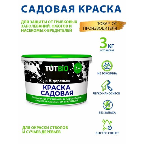 ������ ������ ������ ��� ������� �������� 3�� ��������� ����