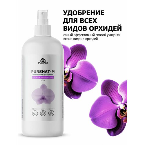 ������ ������ ��������� ��� ���� ����� ������� ����� ������ 500 �� ����