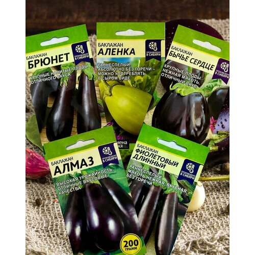 ������ ������ ������ ��������� ������, �����, ������, ����� ������, ����������. ����� 5 ��. ����