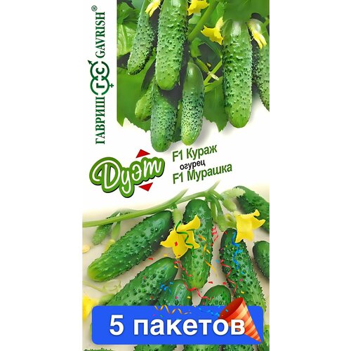 ������ ������ ������ ������ ������ 