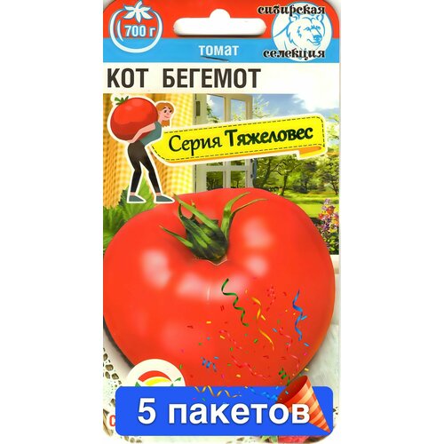 ������ ������ ������ ������ ��������� ��� 