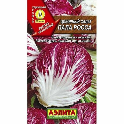 ������ ������ ������ ����� ���� ����� �������� (������) 0,5� ����