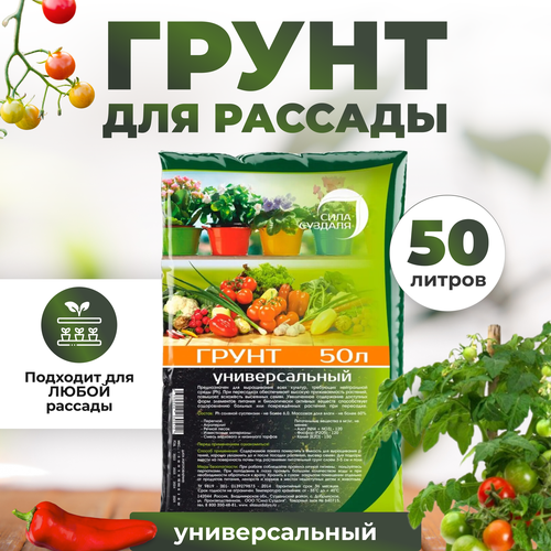 ������ ������ ����� ���� ������� ������������� black, 50 �, 22 �� ����