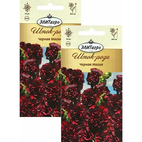 ������ ������ ����-���� ������ ����� (0,1 ��), 2 ������ ����