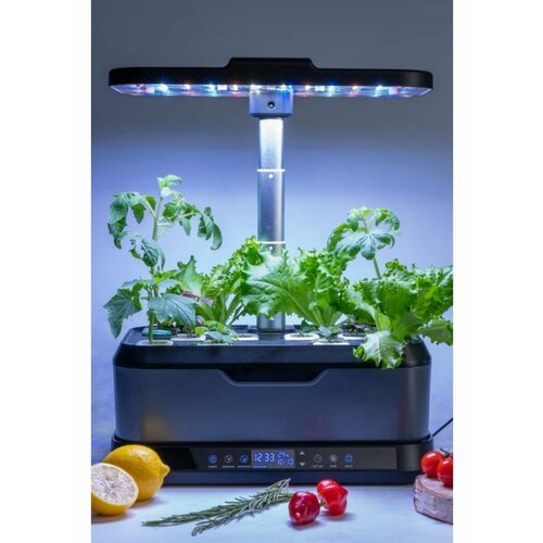 ������ ������ ����� ��� / ������������� ����� / ����������� ��������� ����