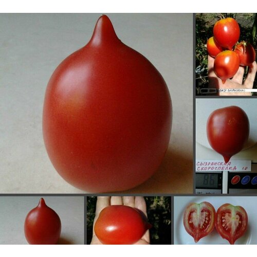 ������ ������ ������������� ������ ������ ���������� ����������� ����